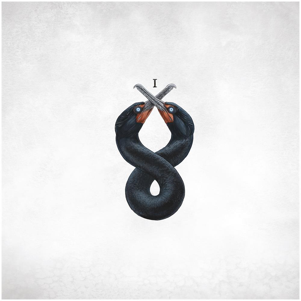 San Fermin - Cormorant 1 -Coloured- - Disponibile dal 04/10/2019 - Foto 1