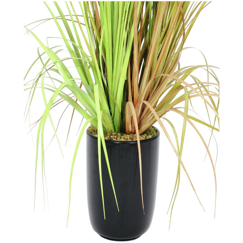 Fontana Erba, 120cm - Foto 1