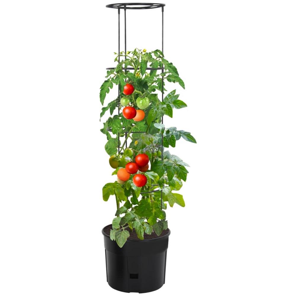 Vaso A Torre Per Pomodori Antracite Ø39x150 Cm Polipropilene - Foto 2
