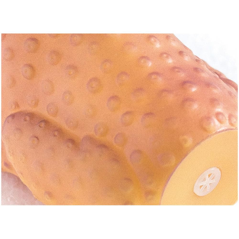 Set 2 Pezzi Gioco Pet Modello Food Pollo Resistente Per Animali Domestici - Foto 3