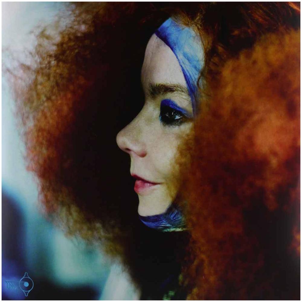 Bjork - Biophilia Live - Foto 1