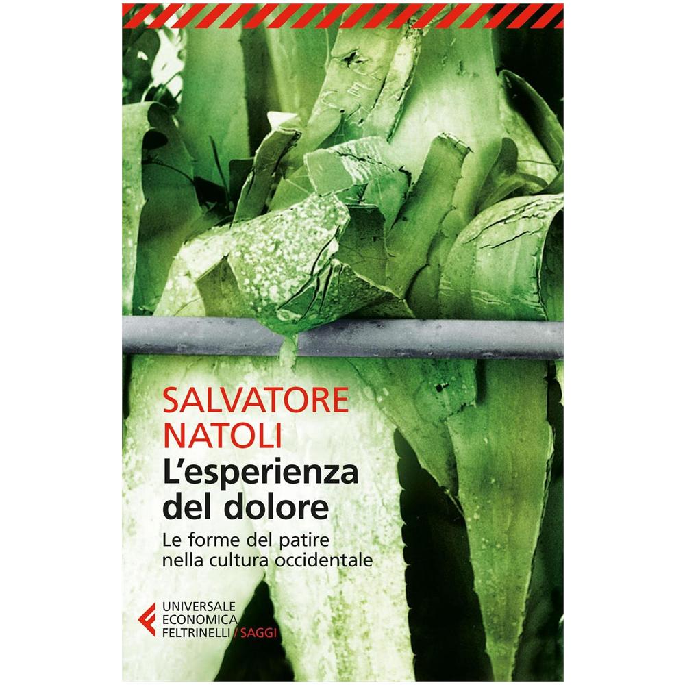 Salvatore Natoli - L'esperienza del dolore. Le forme del patire nella cultura occidentale - Foto 2