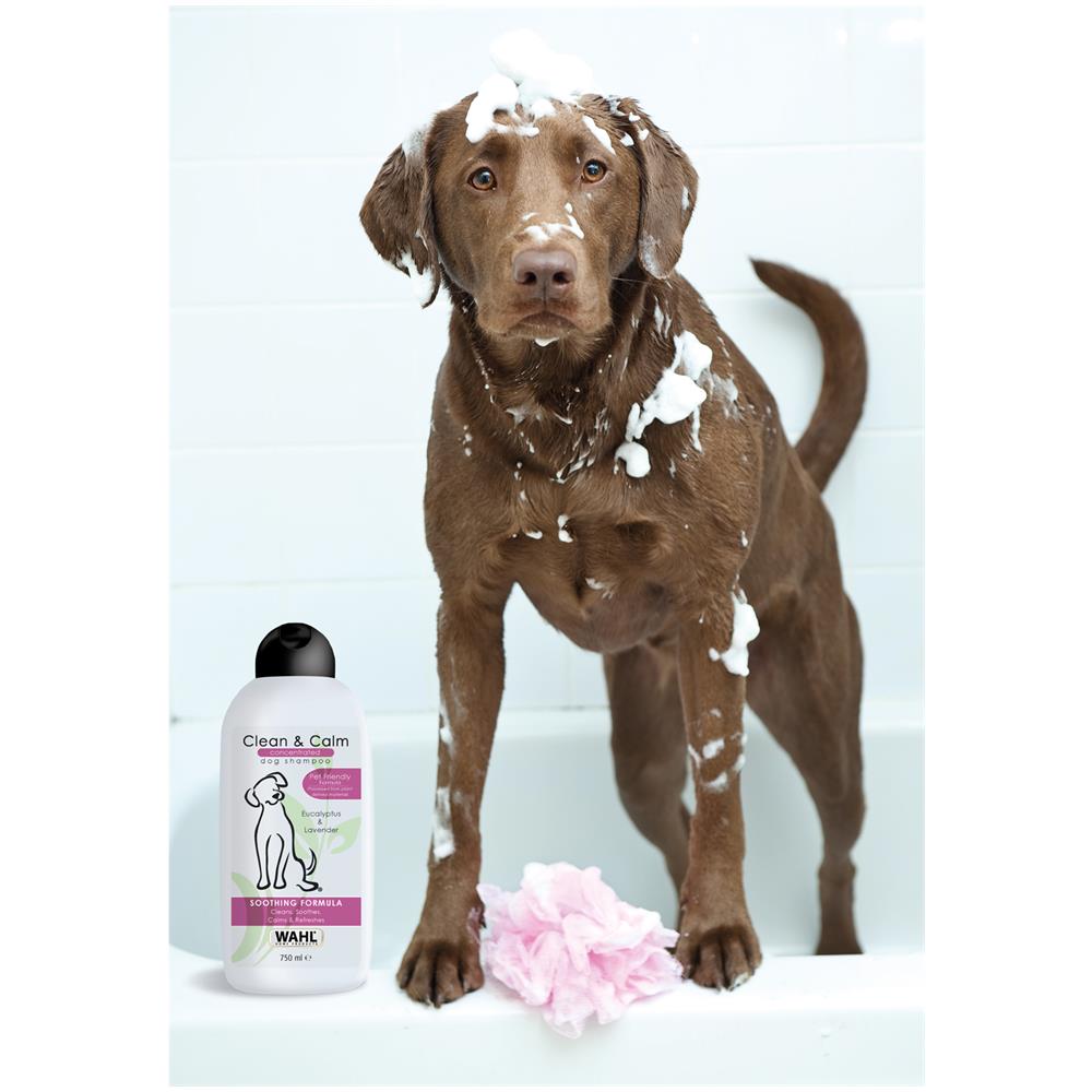 Pulito E Calmo, Shampoo Concentrato 750 Ml - Foto 4