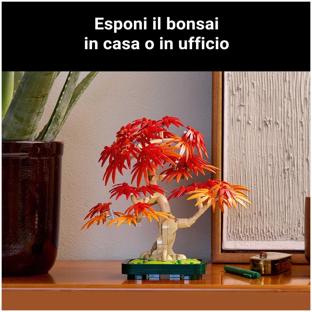 Botanicals Bonsai di acero rosso giapponese - Foto 41