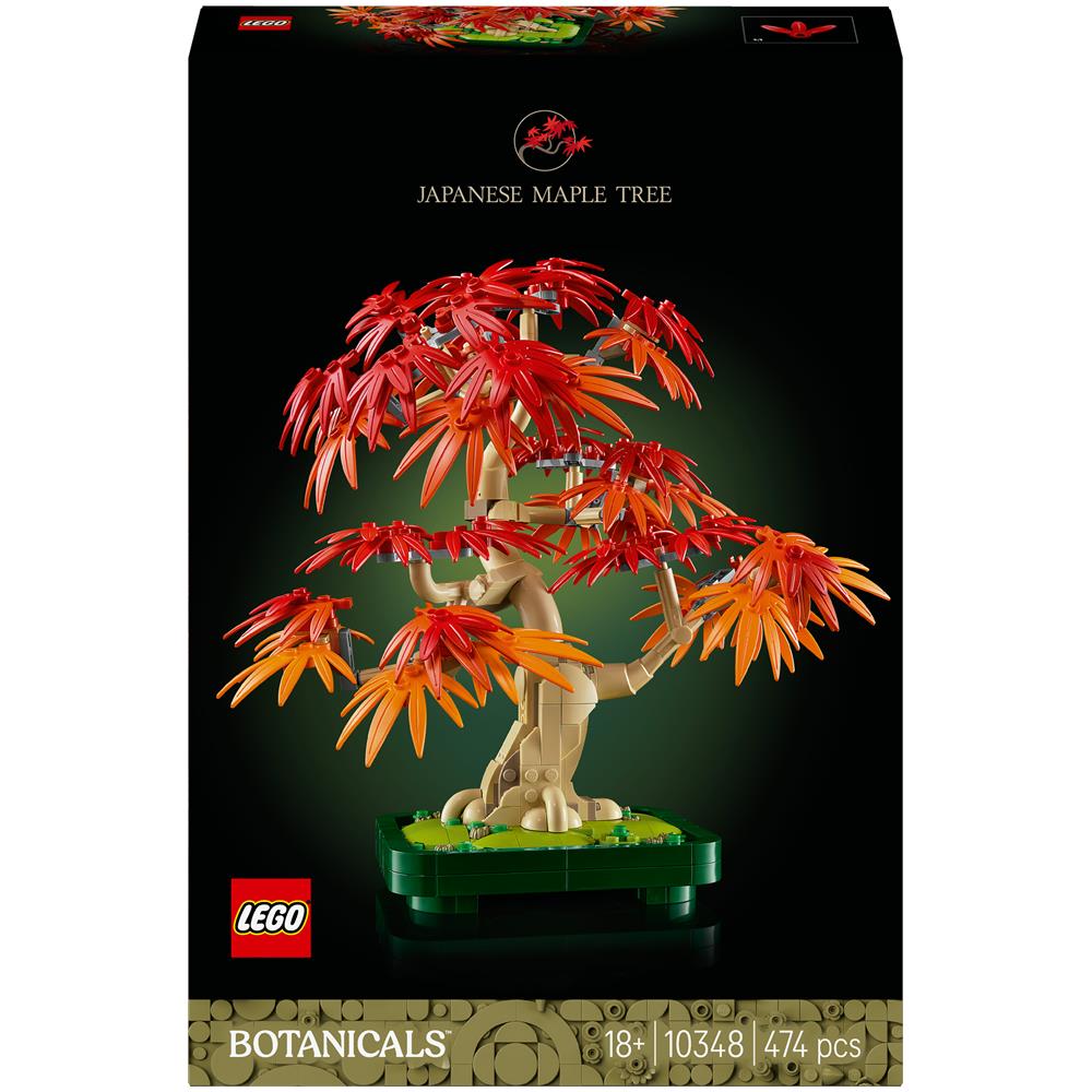 Botanicals Bonsai di acero rosso giapponese - Foto 1