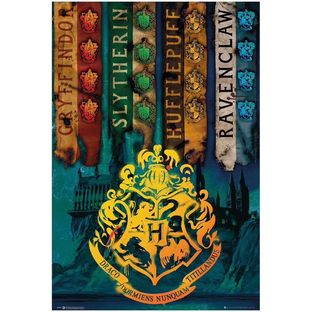 Harry Potter: House Flags (poster Maxi 61x91.5 Cm) - Foto 1