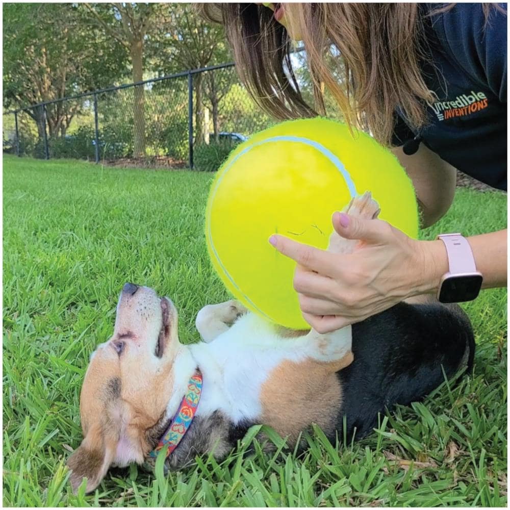 Palla Da Tennis Gigante Incrediball - - Gioco Per Cani - Diametro 24 Cm - Pompa Di Gonfiaggio Inclusa - Foto 1
