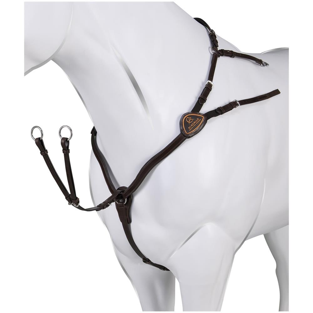 Pettorale E Martingala In Pelle A 5 Vie Acavallo Regolabile Con Forma Anatomica Full - Foto 1