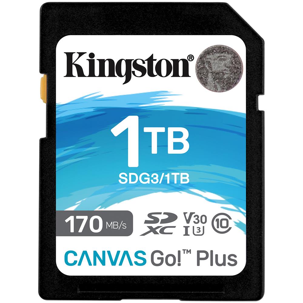 Scheda SDXC Canvas Go Plus 170R C10 UHS-I U3 V30 da 1TB - Foto 1