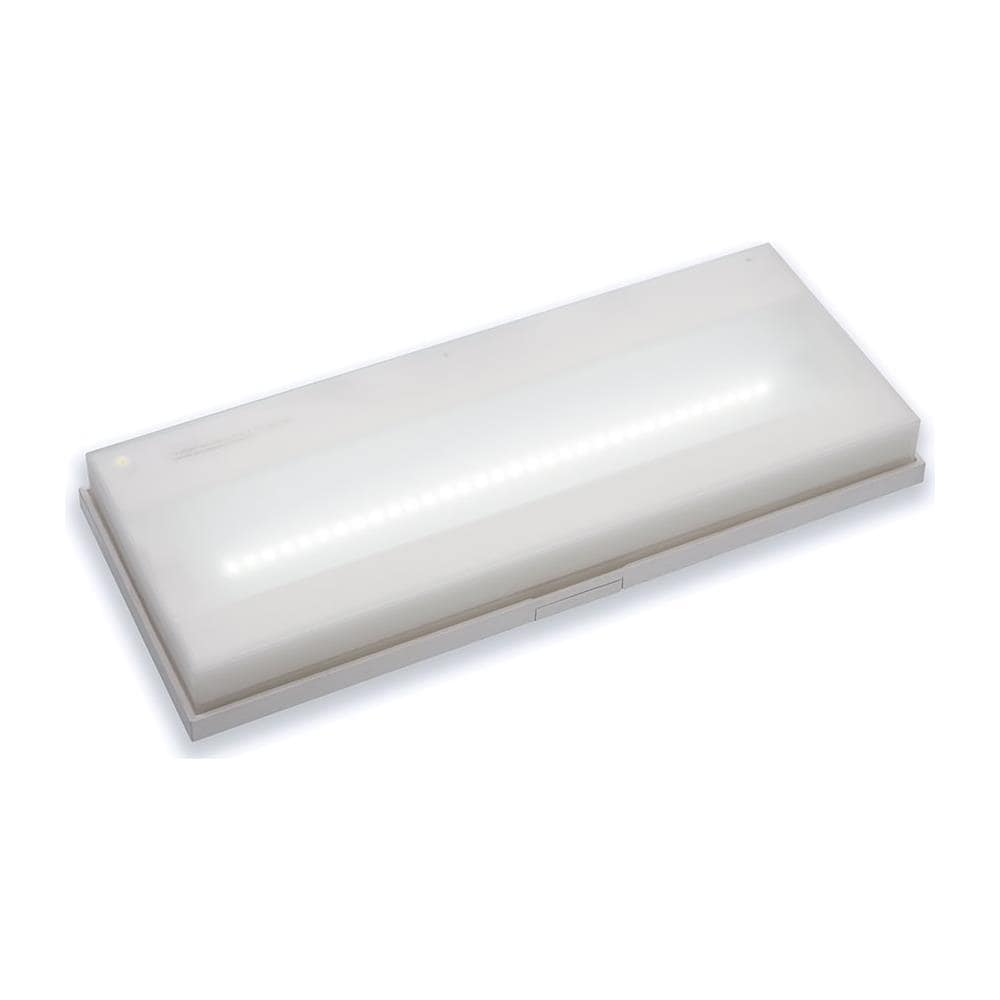 tempo di saldi Lampada Di Emergenza Con 50 Led Completa Di Incasso E Batteria Luce Bianca 4W