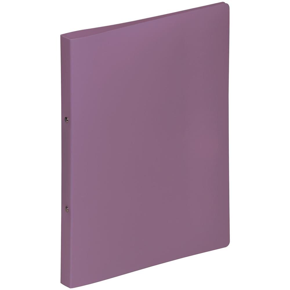 20901-12 raccoglitore ad anelli A4 Viola - Foto 1