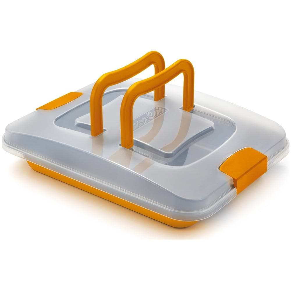 Rosticcera Antiaderente Dimensioni 28x22 cm - Linea Maitre - Foto 2