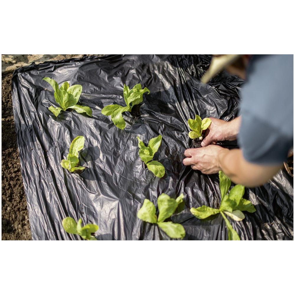 Telo Bio Pacciamatura Mater-bi 0.80 Mt X 100 Mt - Foto 2