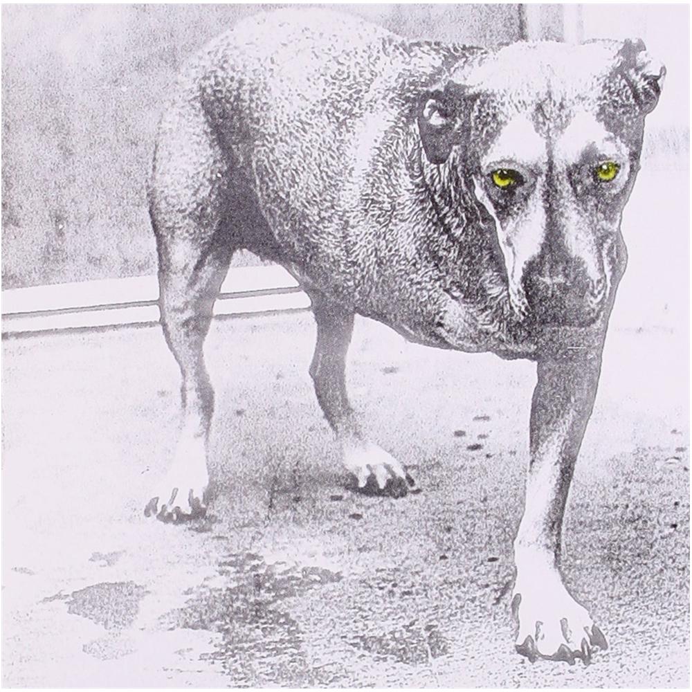 Cd Alice In Chains - Alice In Chains - Foto 1