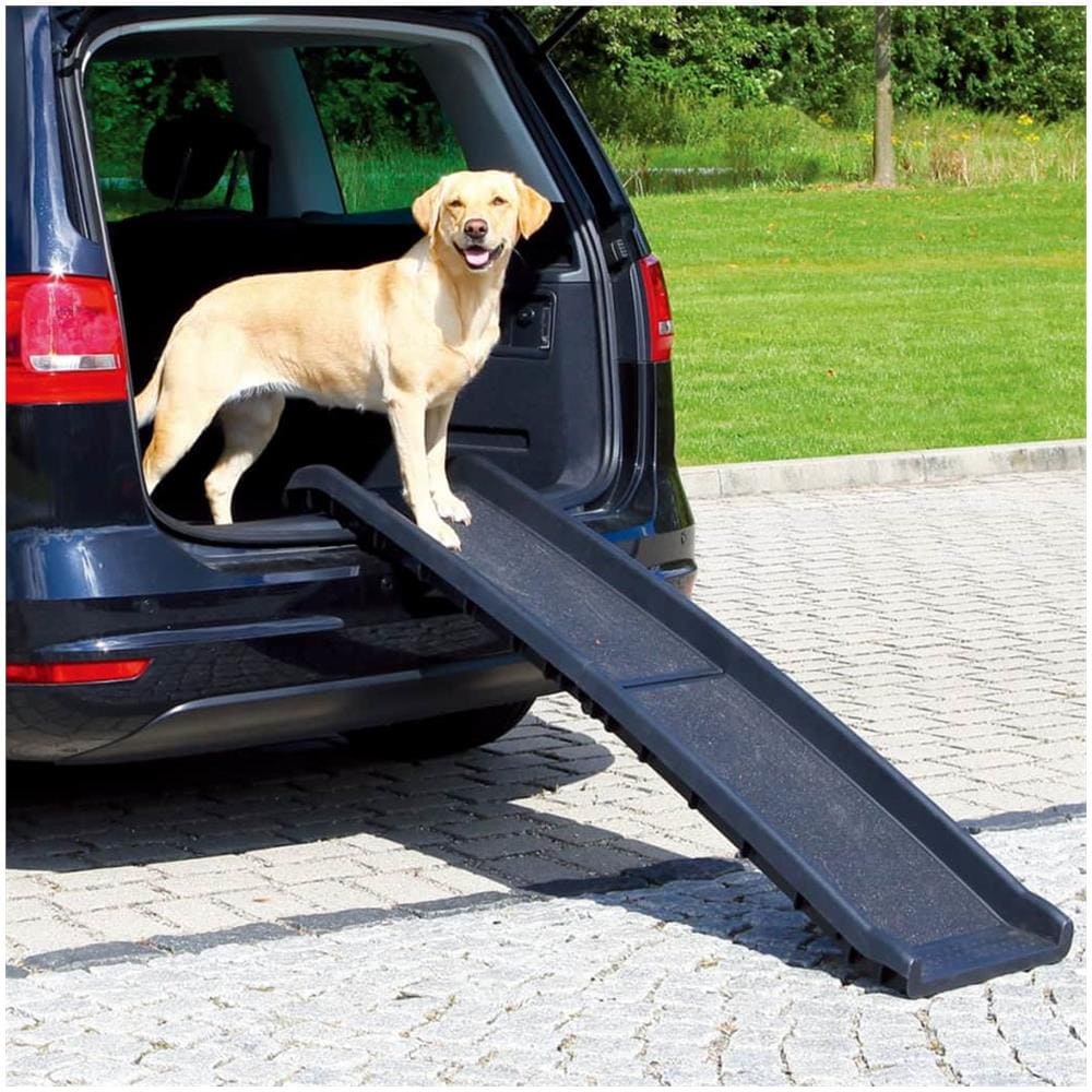 Rampa Per Animali 40x156 Cm 90 Kg Nero 3939 - Foto 2