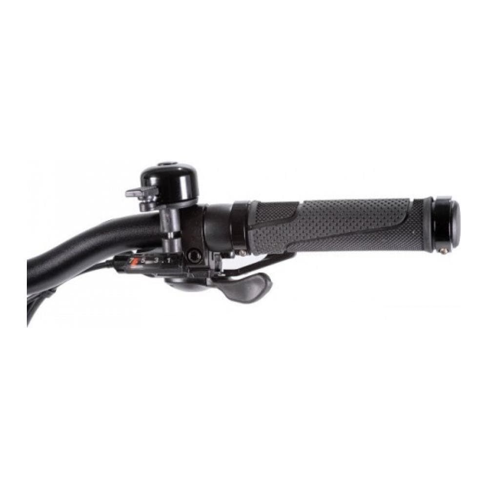 SMARTWAY - Bicicletta Elettrica M2-R6A2-T Titanio Alluminio (20\