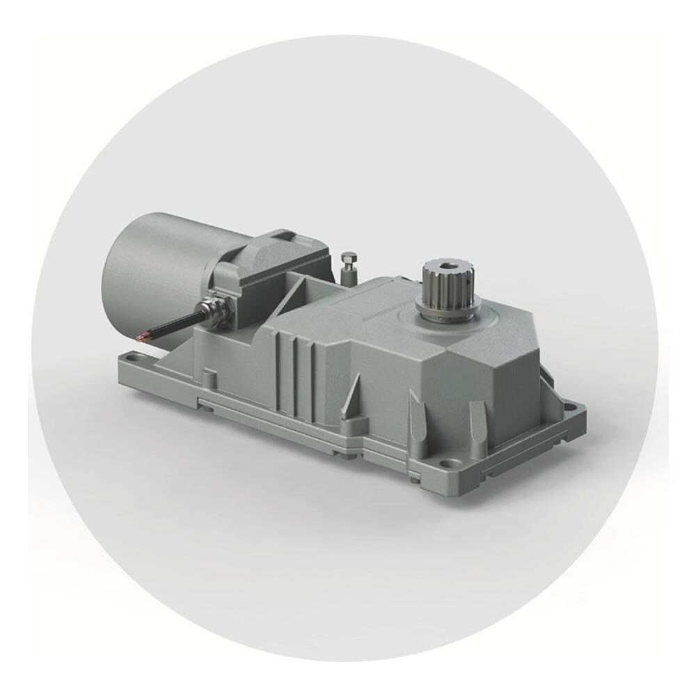 Attuatore Motore 230v Per Cancelli A Battente Interrato Roller 6170077 - Foto 1