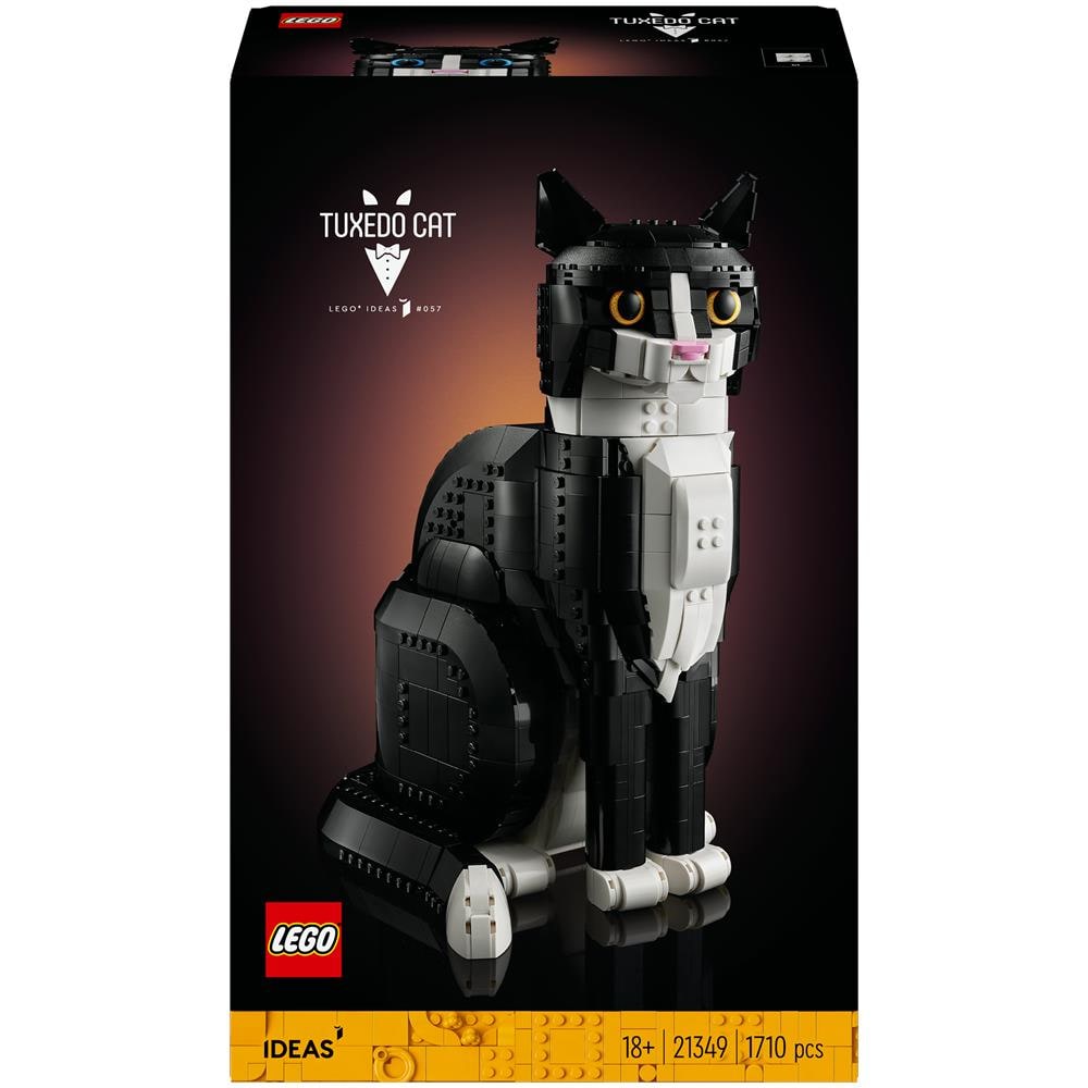 Gatto Tuxedo - Foto 1