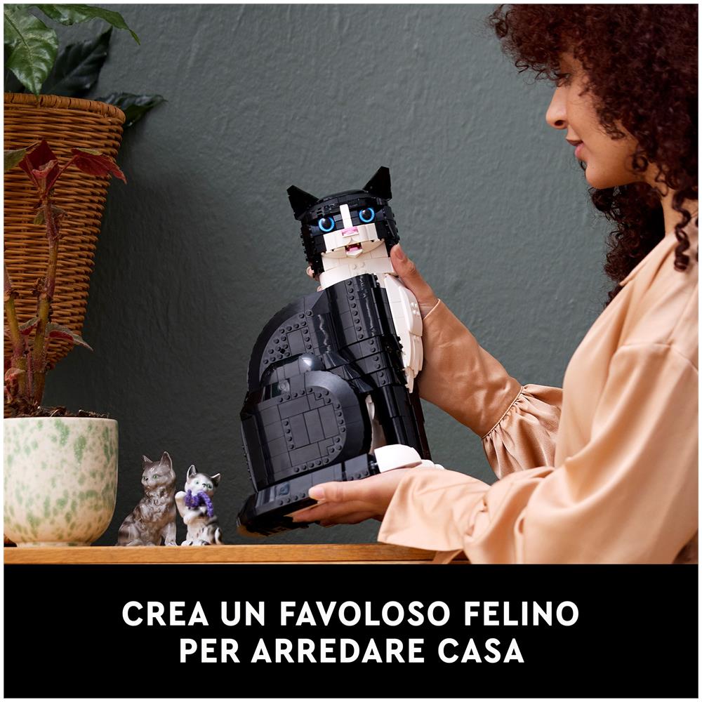 Gatto Tuxedo - Foto 40