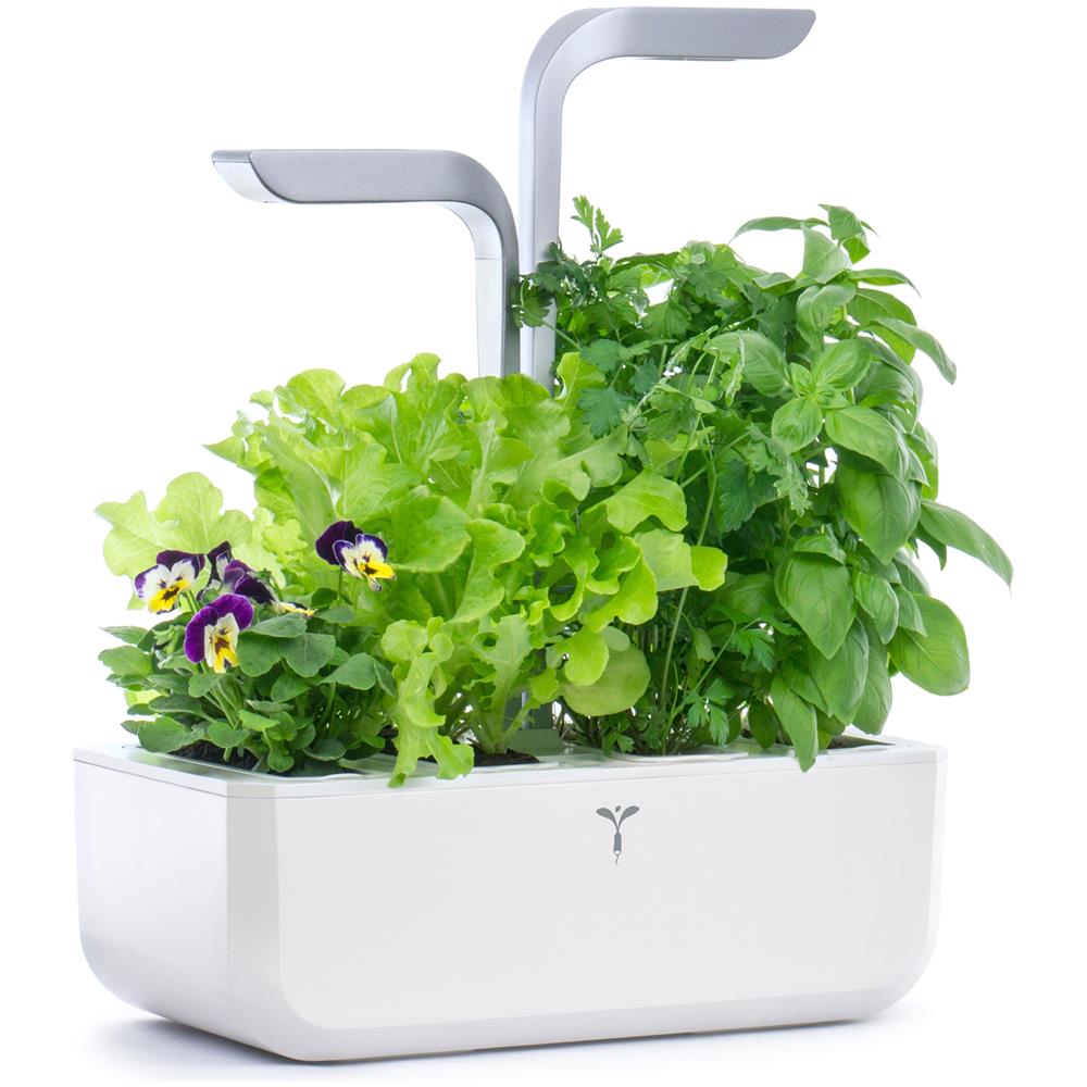 SMART Garden Bianco - Coltivazione Indoor con Regolazione Automatica del LED in base alla Luce Ambientale - Kit di 4 Semi Inclusi - Foto 2