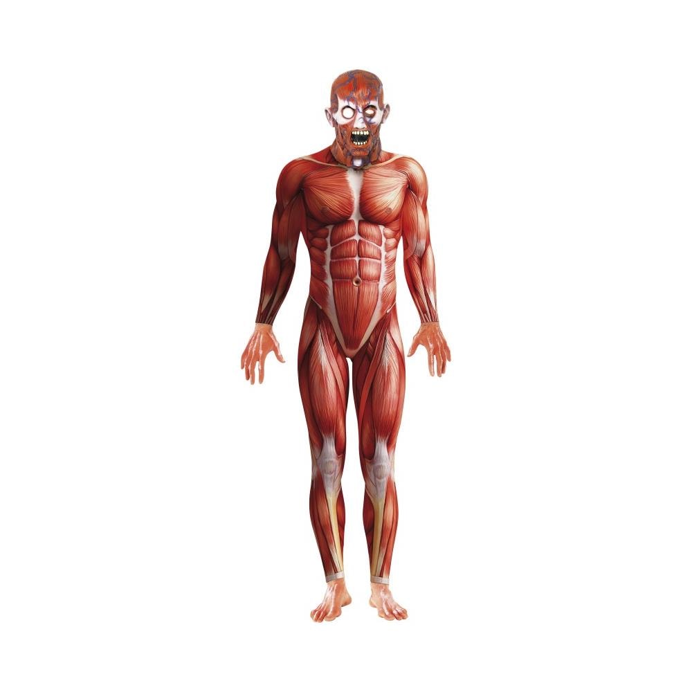 Costume Anatomia Umana Per Adulti Halloween Medium - Foto 1