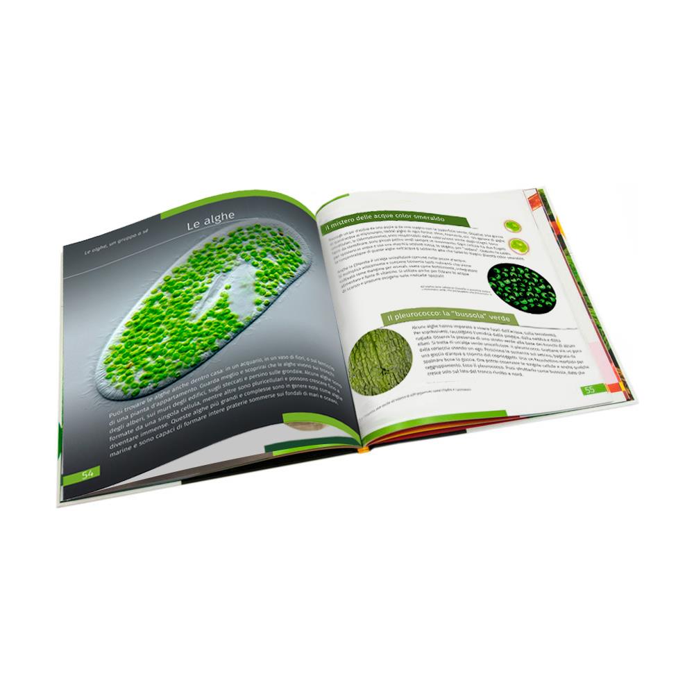 Mondo Invisibile. Libro Educativo. Copertina Rigida - Foto 2