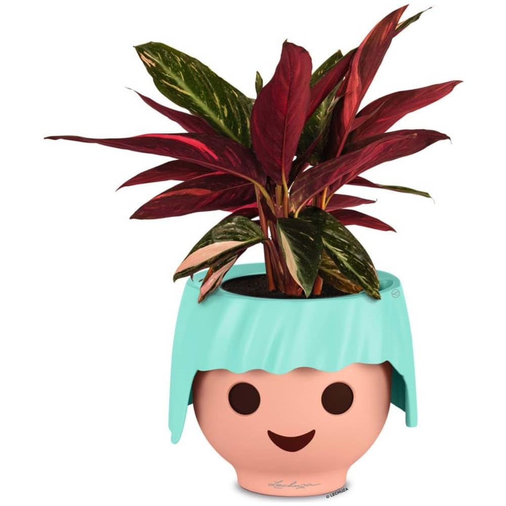 Fioriera Da Tavolo Ojo All-in-one Verde Acquamarina - Foto 2