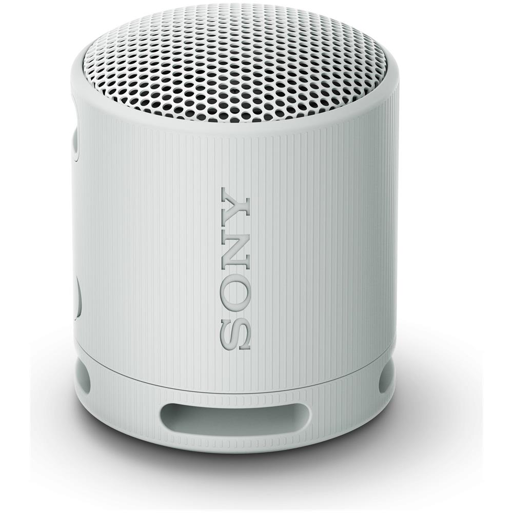 Altoparlante Portatile SRS-XB100 Wireless Bluetooth Colore Grigio - Foto 1