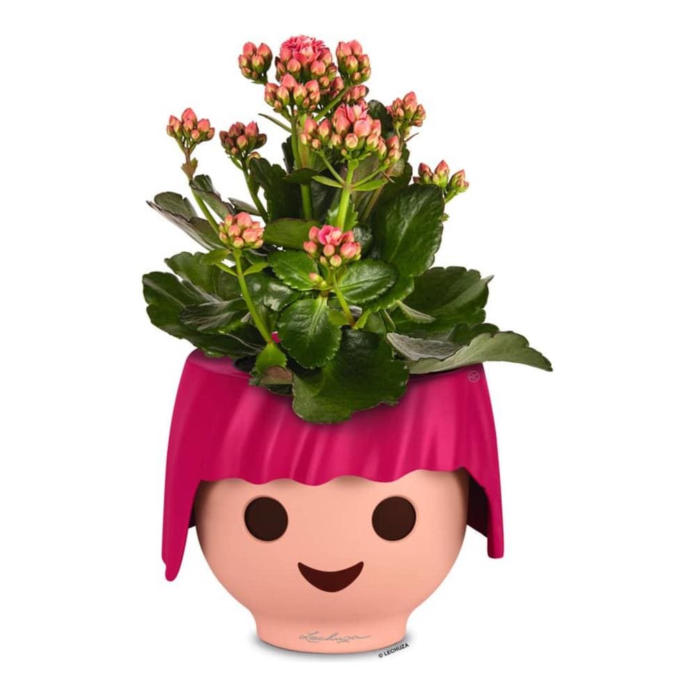 Fioriera Da Tavolo Ojo All-in-one Rosa Rubino - Foto 2