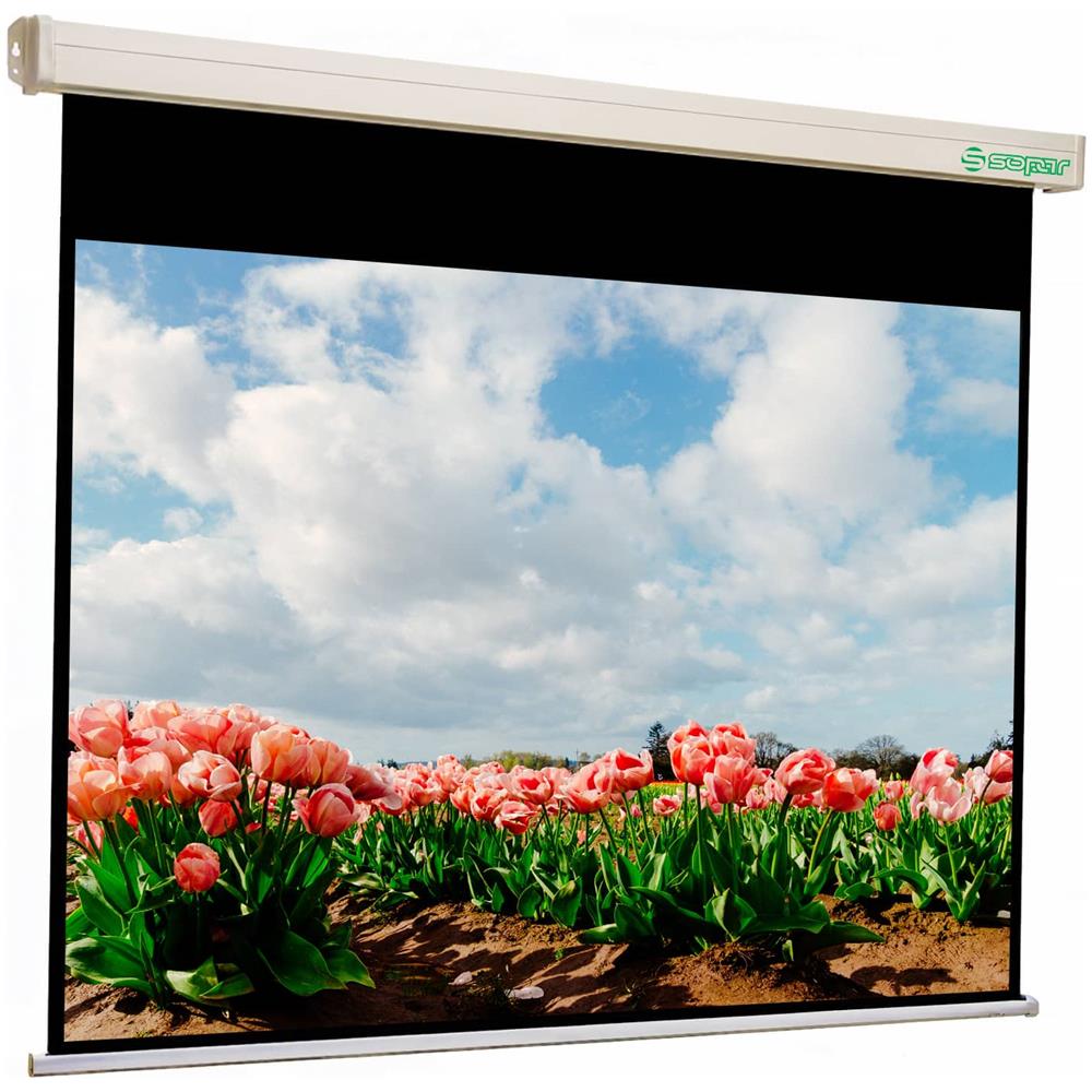 Platinum schermo per proiettore 3,66 m (144") 4:3 - Foto 1