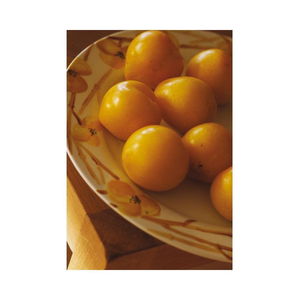 Idropittura Lucida Per Porcellana - Ambra - 45 Ml - Foto 2
