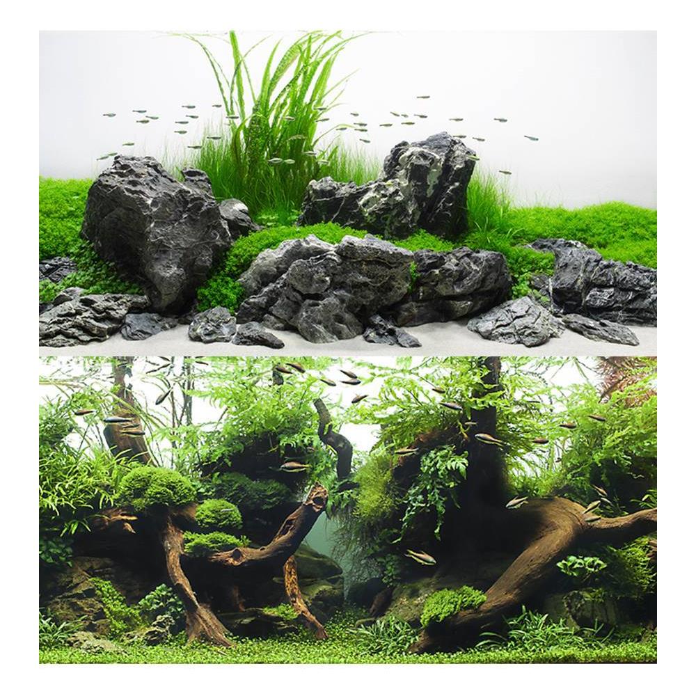 Sfondo Doppio Amazonia Blister 45x100 Cm - Foto 1