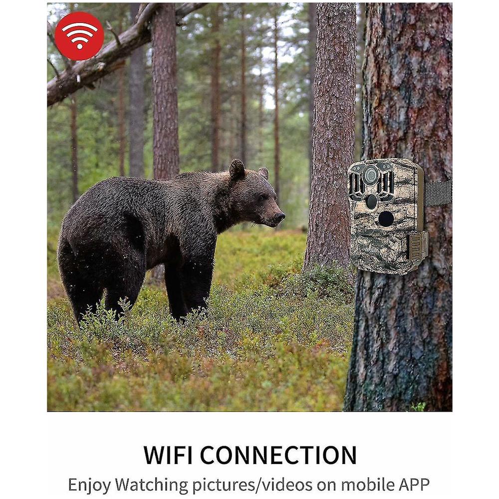 Camera Da Fauna Selvatica, Occhiali Per Visione Notturna Ip66 Impermeabile E-angolo A 120 Largo. - Foto 2