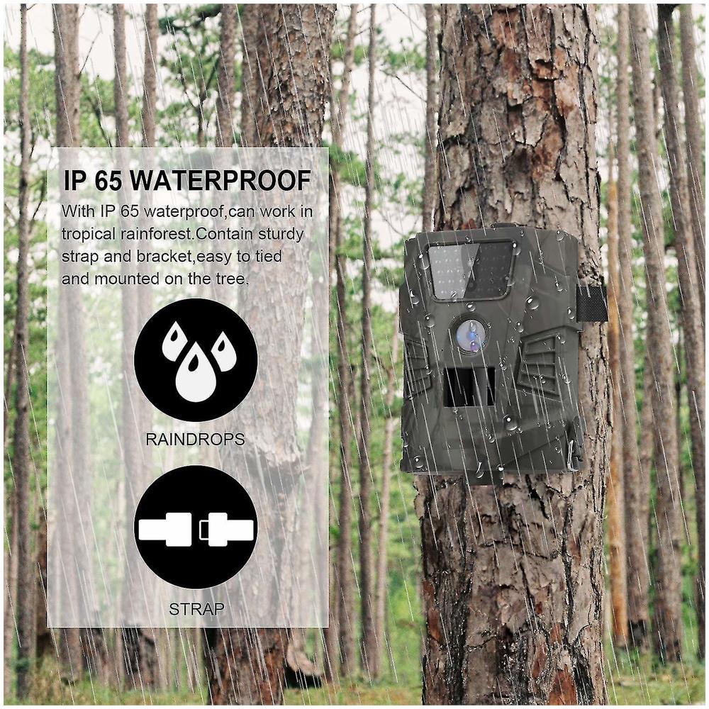 Camera Da Caccia Alla Fauna Selvatica Con I Led A Infralesso Da 30 Pezzi Ip65-green - Foto 5