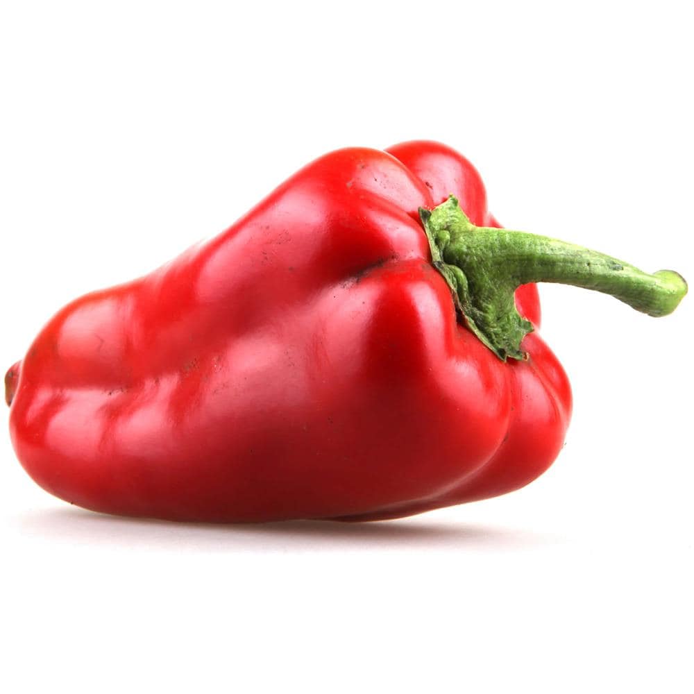 Capsule Di Semi Habanero Large - Foto 4