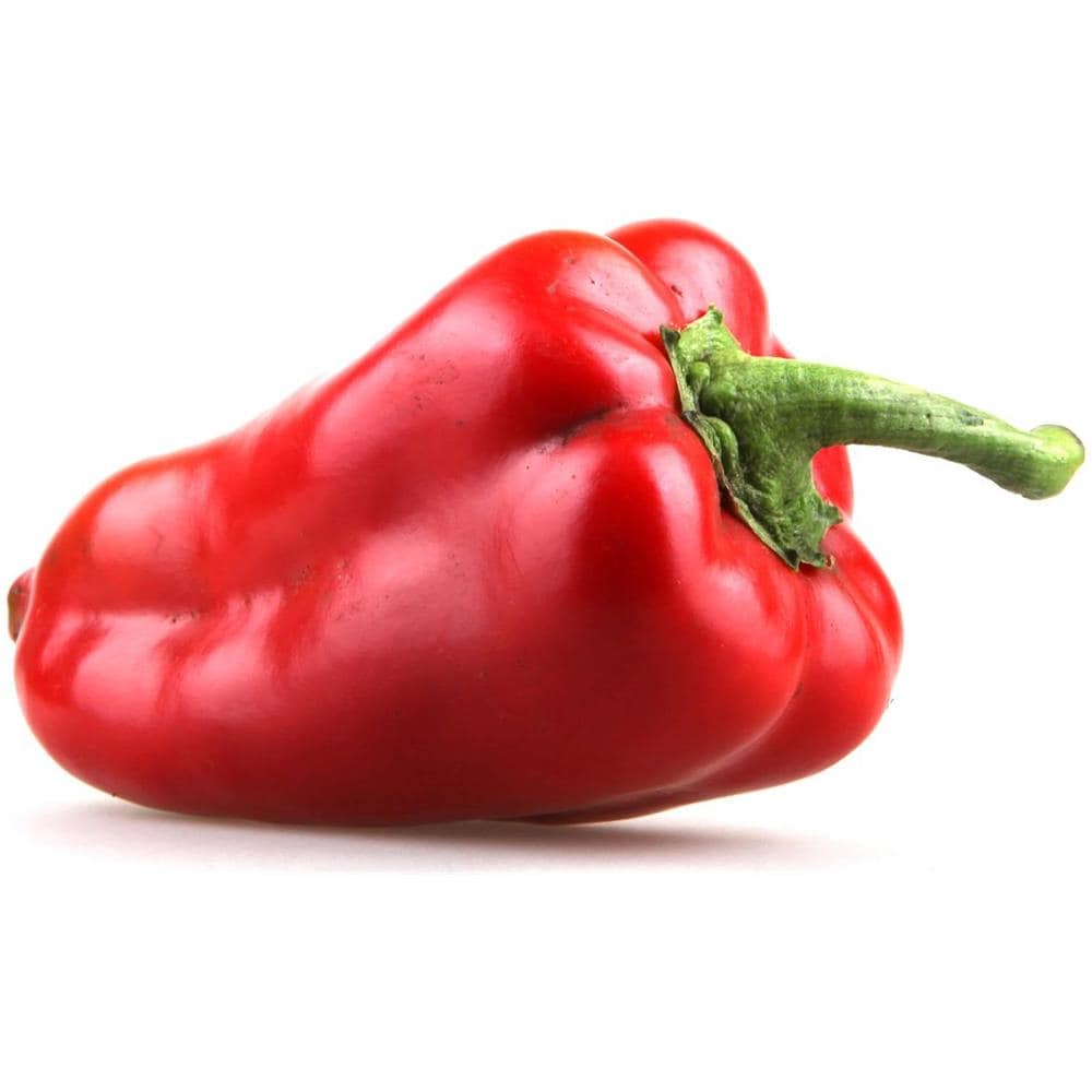 Capsule Di Semi Habanero Large - Foto 2
