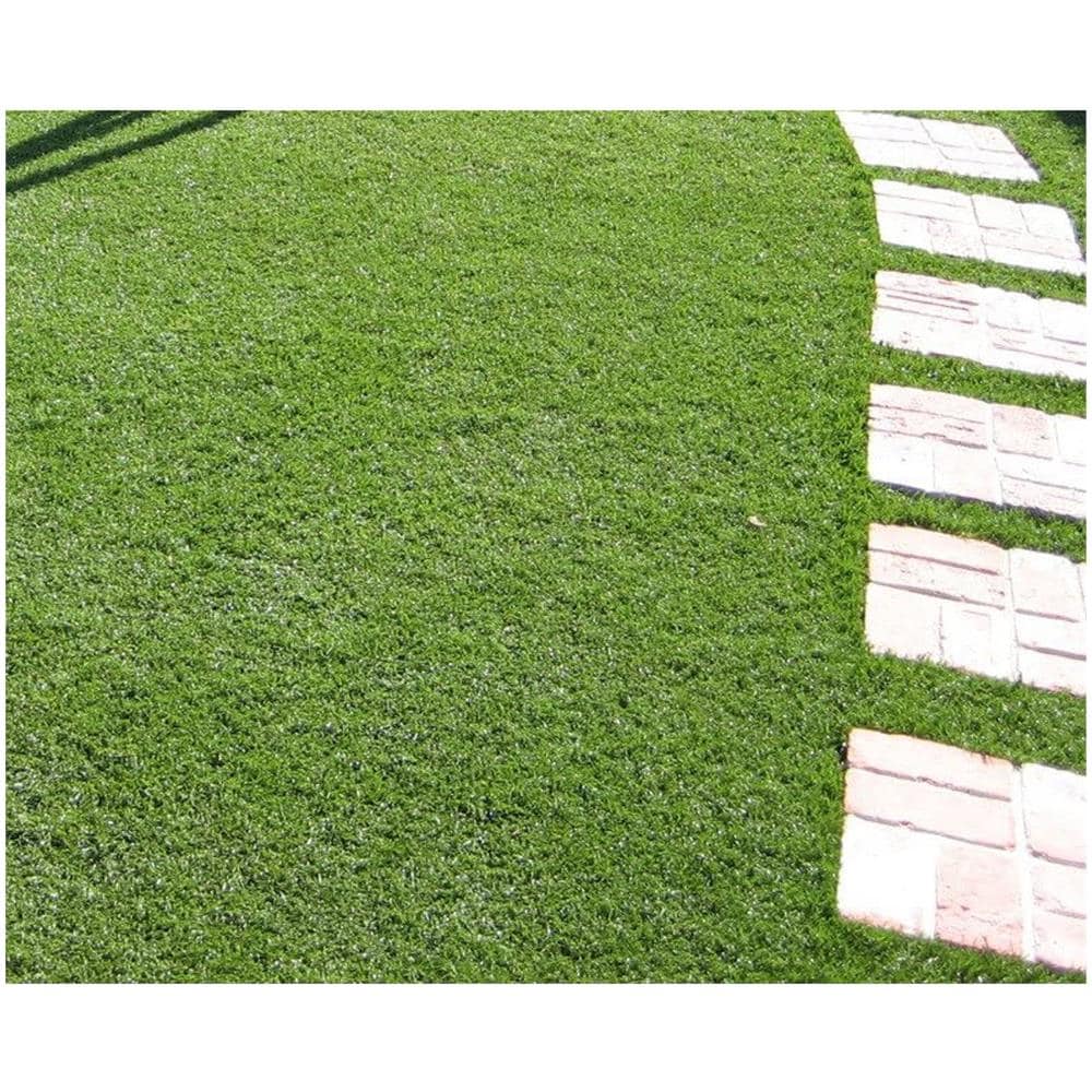 Tappeto Erba Sintetica 25 Mm 1x25 Mt - Divina Garden - Foto 2