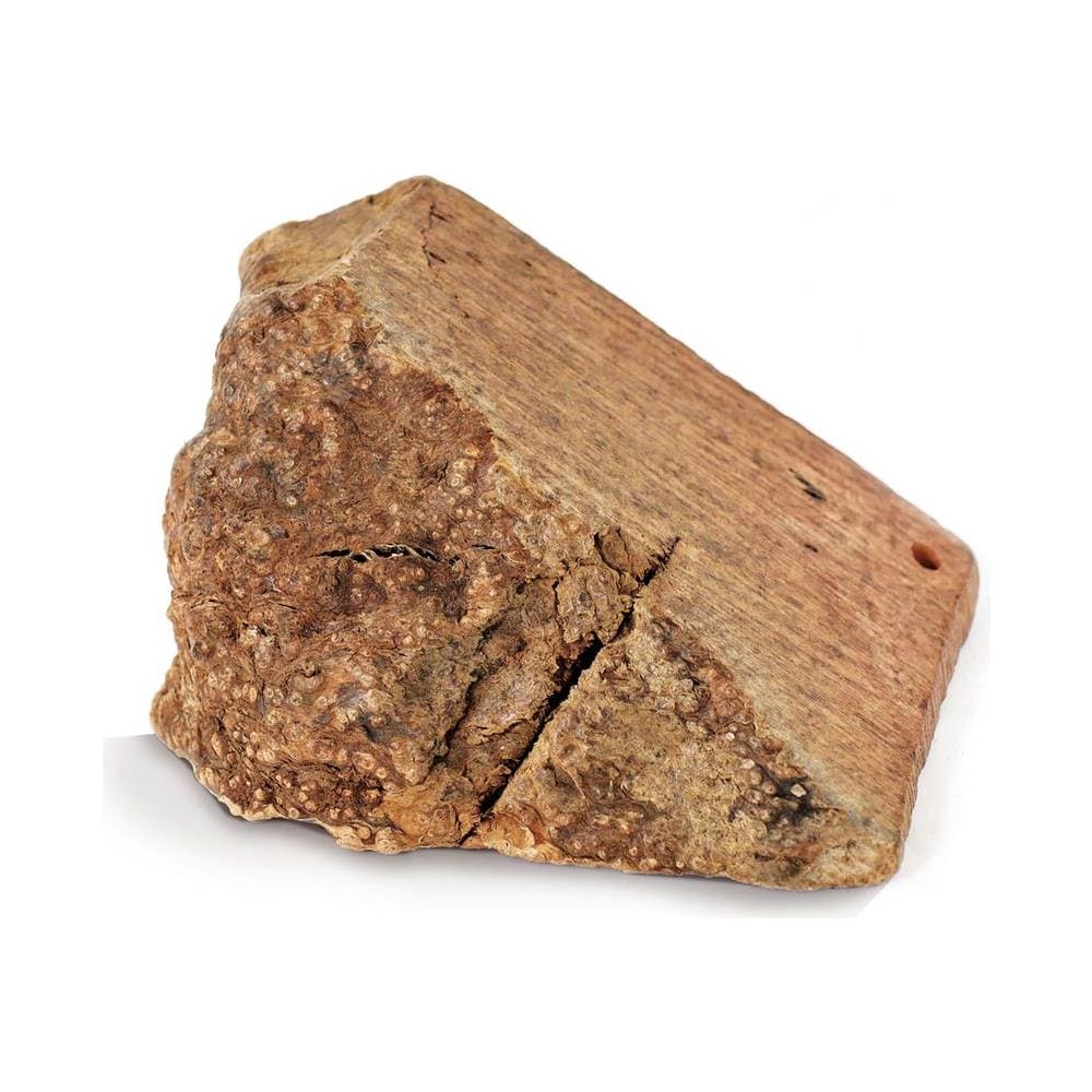 Gioco Per Cani In Legno Masticabile Radice Di Erica - Foto 1