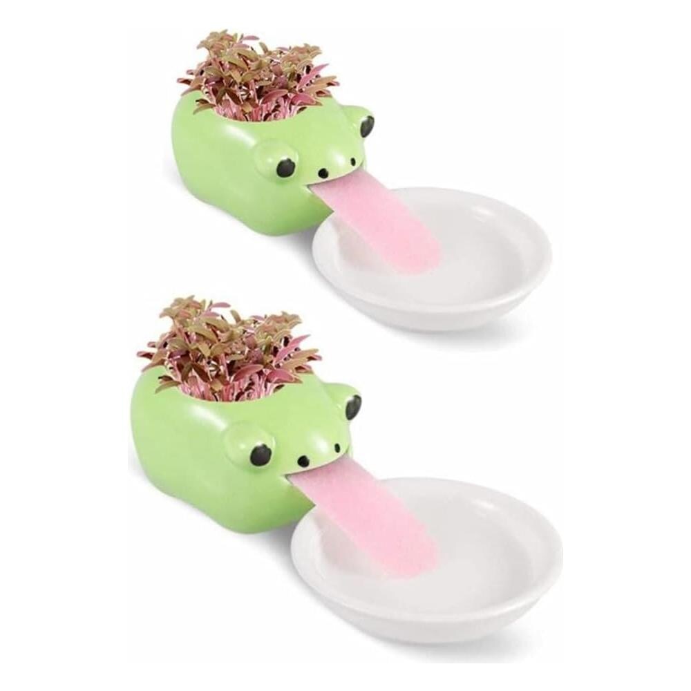 Mini Self-suction Ceramic Flower Pots With Tray For Succulents Cactus Flower Pots Decoration For Home, Office, Interior, Frog - Foto 1