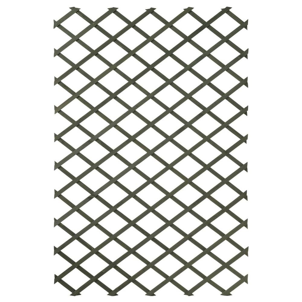 Pergolato Da Giardino 100x200 Cm Legno Verde 6041704 - Foto 1