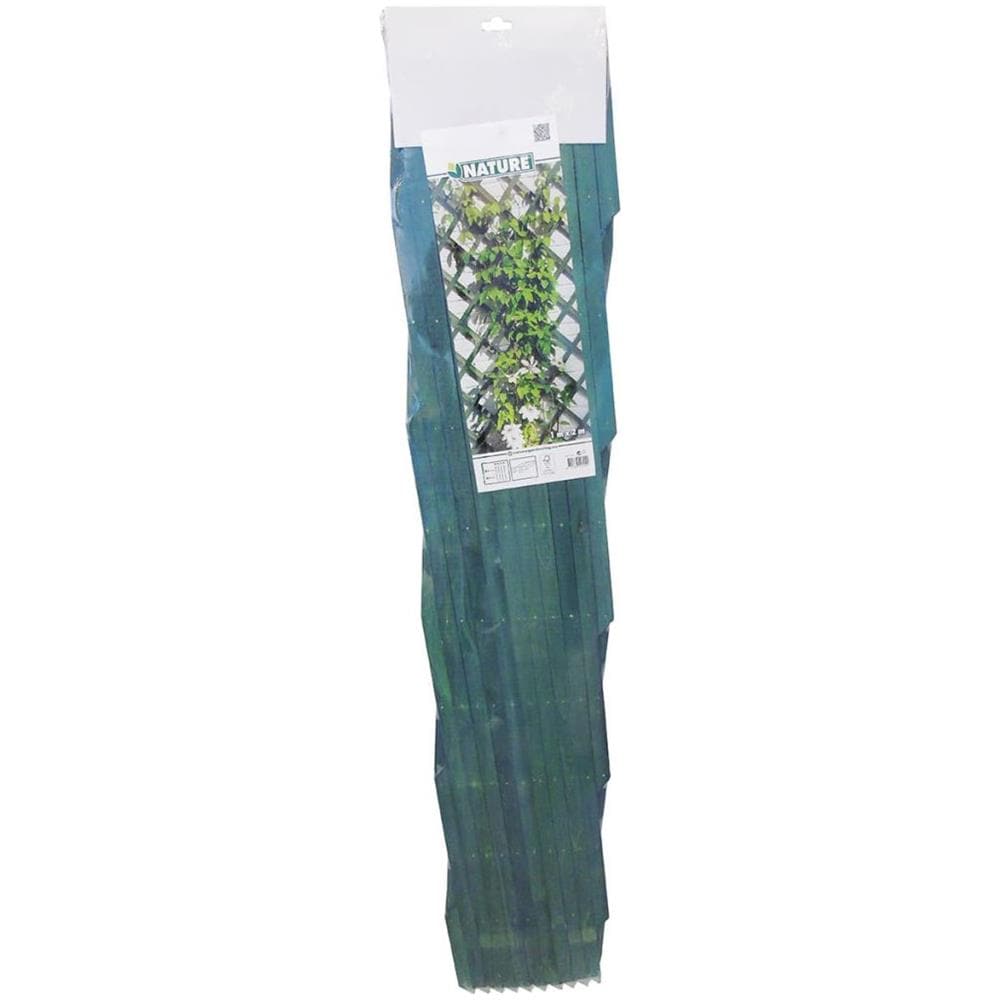 Pergolato Da Giardino 100x200 Cm Legno Verde 6041704 - Foto 2