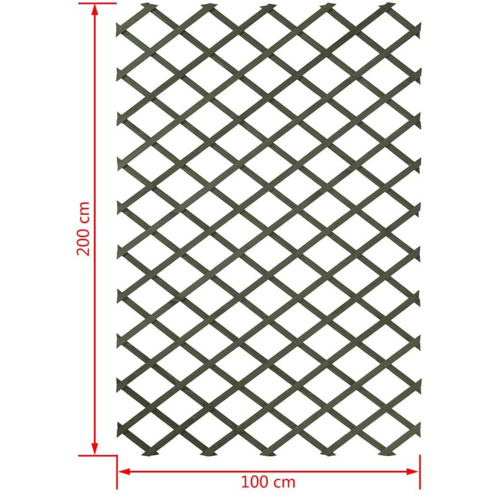 Pergolato Da Giardino 100x200 Cm Legno Verde 6041704 - Foto 7