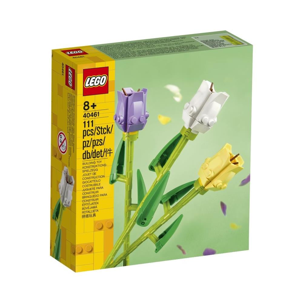 40461 Tulipani - Foto 1