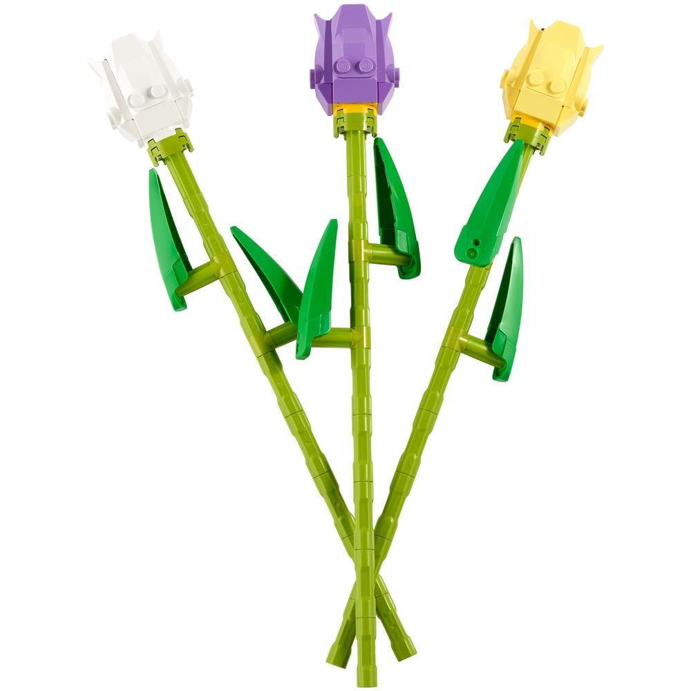 40461 Tulipani - Foto 2