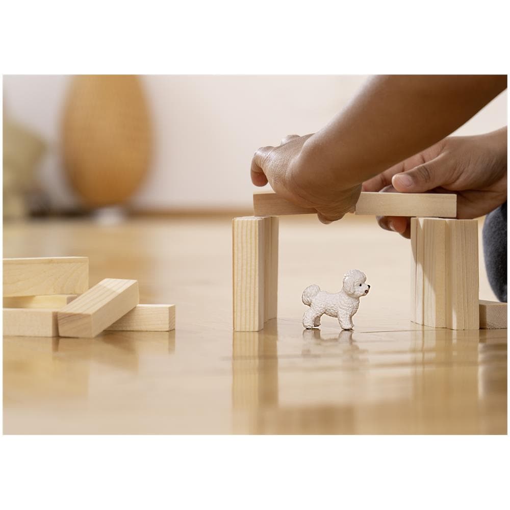 BICHON FRISE' - Foto 2