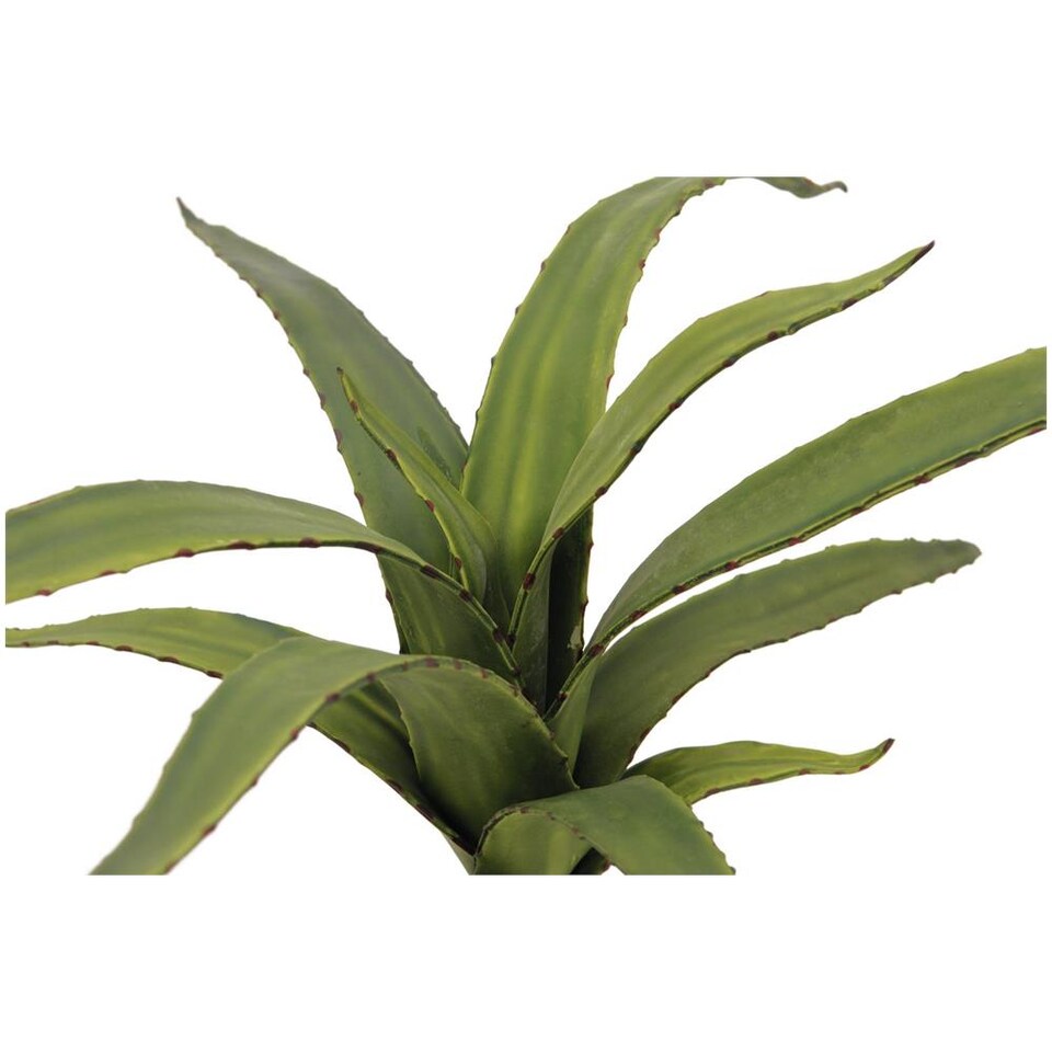 11 Piante Grasse Artificiali Assortite - Finti Cactus E Succulente In Plastica Per Casa E Matrimonio