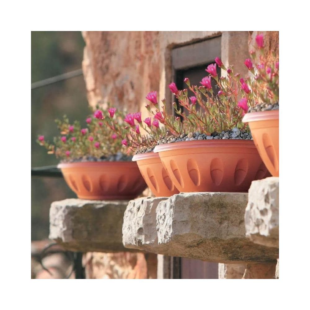 Ciotola Alba Diametro Cm. 30 Con Sottovaso Colore Terracotta - Foto 4