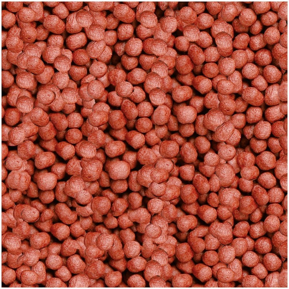 Koi Royal Medium 1000 Ml (240 G) - Foto 1