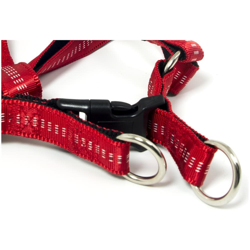 Pettorina Per Cani Regolabile E Resistente Modello Color Doggy L Rosso - Foto 2
