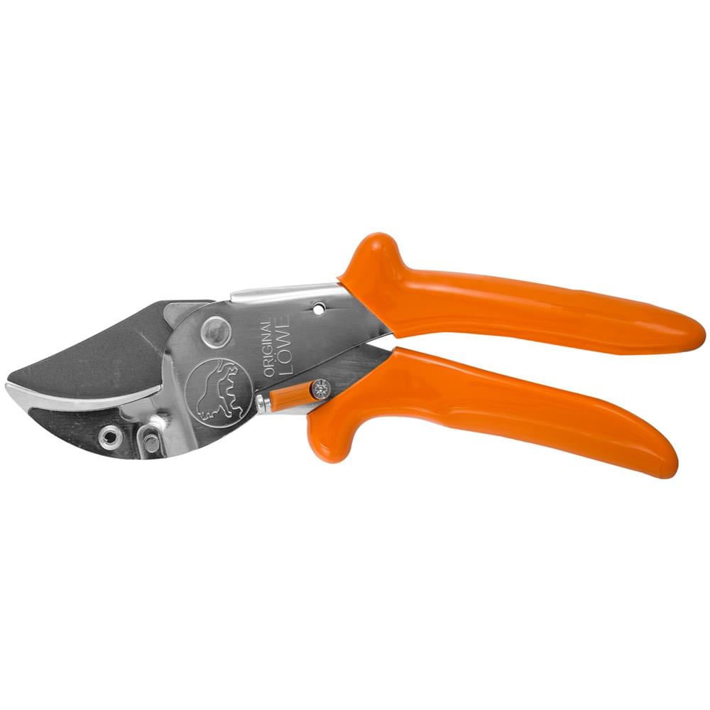 Löwe 10 Forbice Amboss - Foto 1